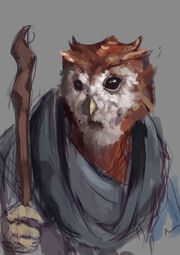 Druida