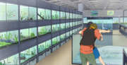 Makoto empeche haru.png