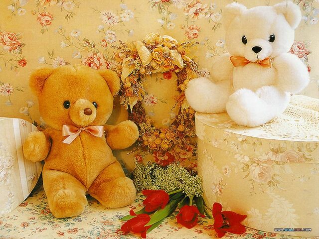 File:Teddy (6).jpg