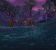 Floren Forest int