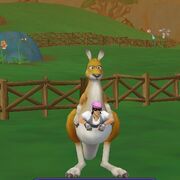Kangaroo Ride