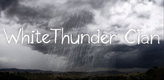 File:WhiteThunder Clan.jpg