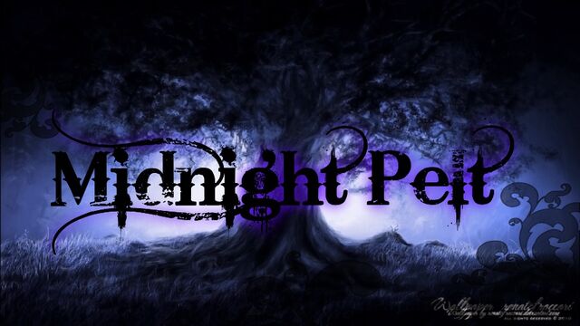 File:Midnight Pelt.jpg