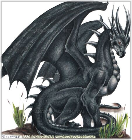 File:Black-dragon.jpg