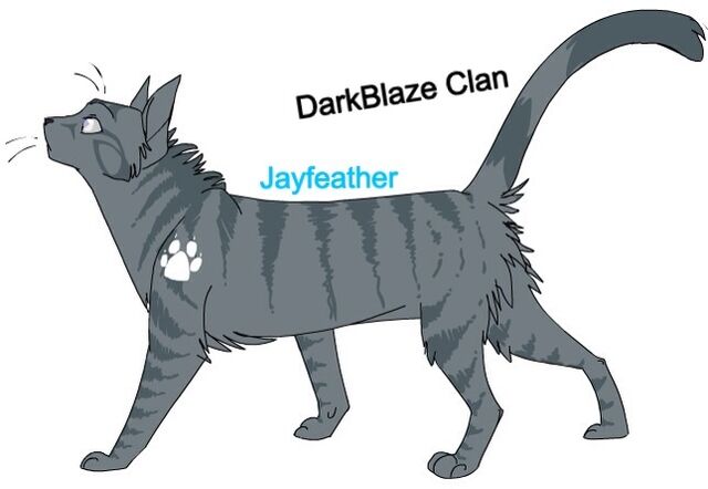 File:Jayfeather.jpg