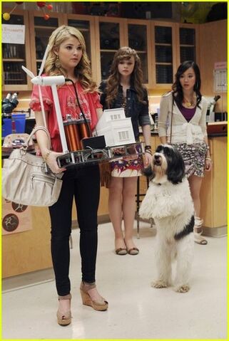File:New-Frenemies-Pics-frenemies-27524101-335-500.jpg