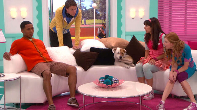 File:Doggone It!.jpg