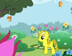 Lemonade