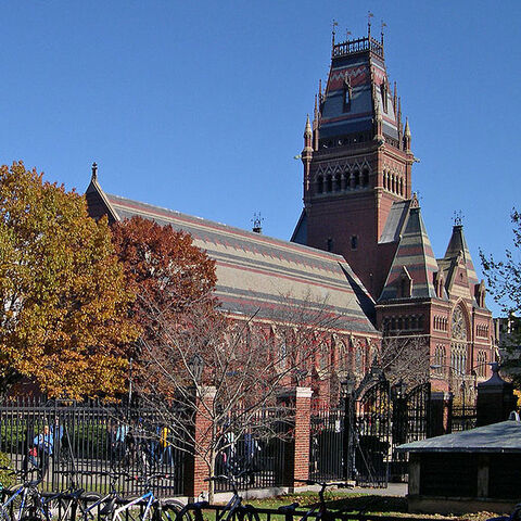 Файл:Harvard.jpg