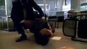 Loeb Collapses