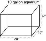 Aqarium