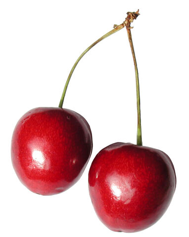File:Cherries.jpg