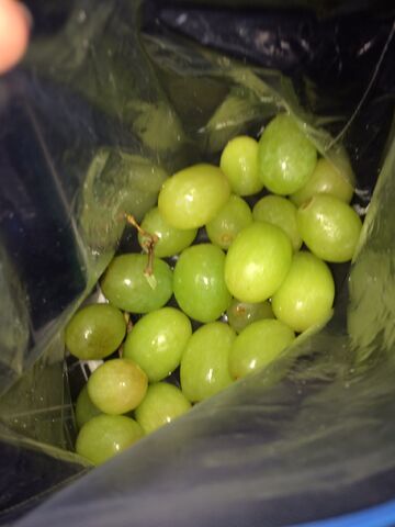 File:Green grapes.jpeg