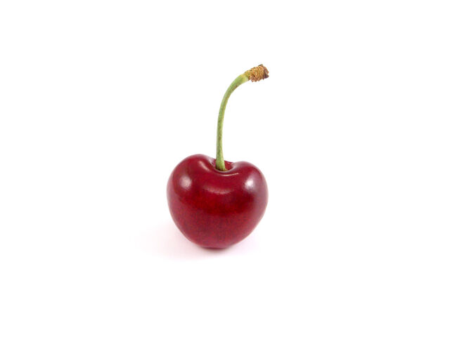 File:Cherry-01.jpg