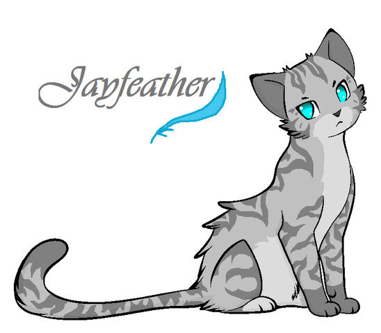 Fichier:Jayfeather.jpg
