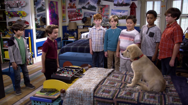 File:Fuller House S01E08 Screenshot 004.png