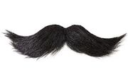 Mustache
