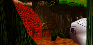 Swamp1