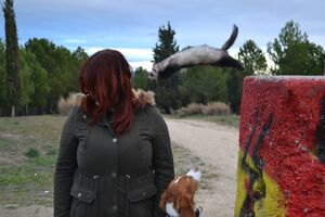 Portadaejercicio.jpg