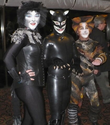 File:RainRat FC2008 Cats.jpg