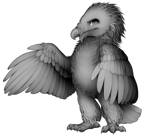 File:Bearded vulture base.png