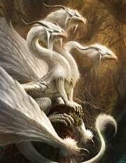 Images (7)