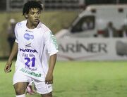 Romarinho-bragantino