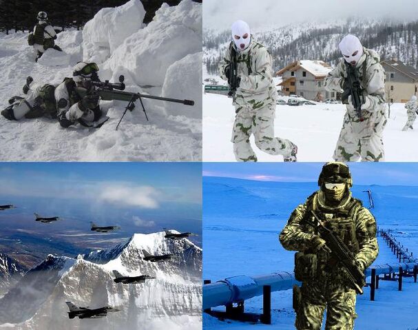 File:U.SDefenseofAlaska.jpg
