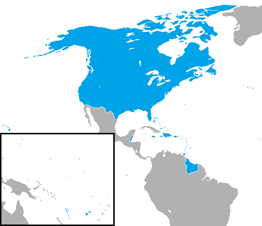 File:United States map v2.png