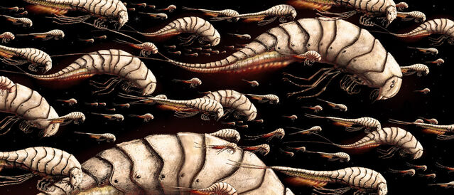 File:TravellingInsectCivilization.jpg