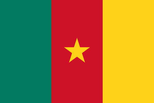 File:Flag of Cameroon.svg.png
