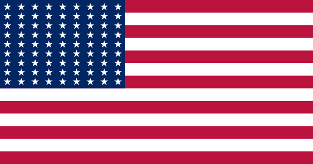 File:US flag 81smallstars.png