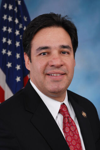 File:RaulLabrador.jpg