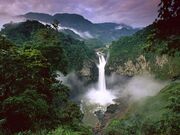 Amazon River (16)