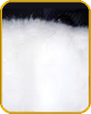 Whitefur-tile