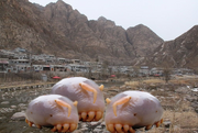 Alien sheep