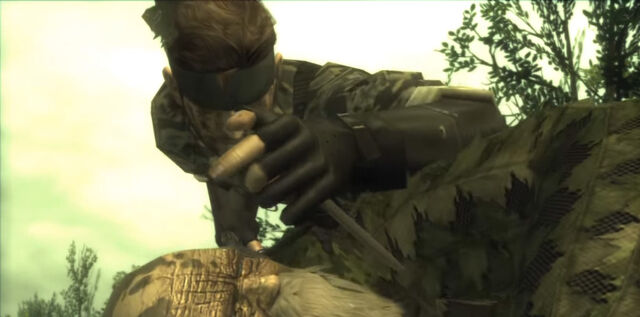 File:MetalGearSolid3.jpg
