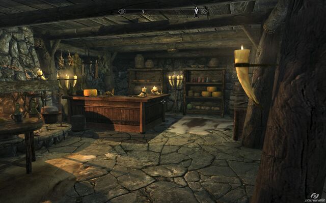 File:Riverwood Trader inside Skyrim.jpg