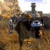 Rex