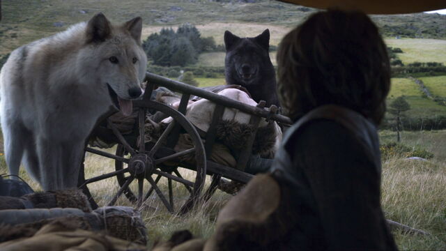 File:Wolves.jpg