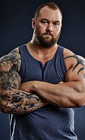 Datei:ProfilHafþórJúlíusBjörnsson1.jpg