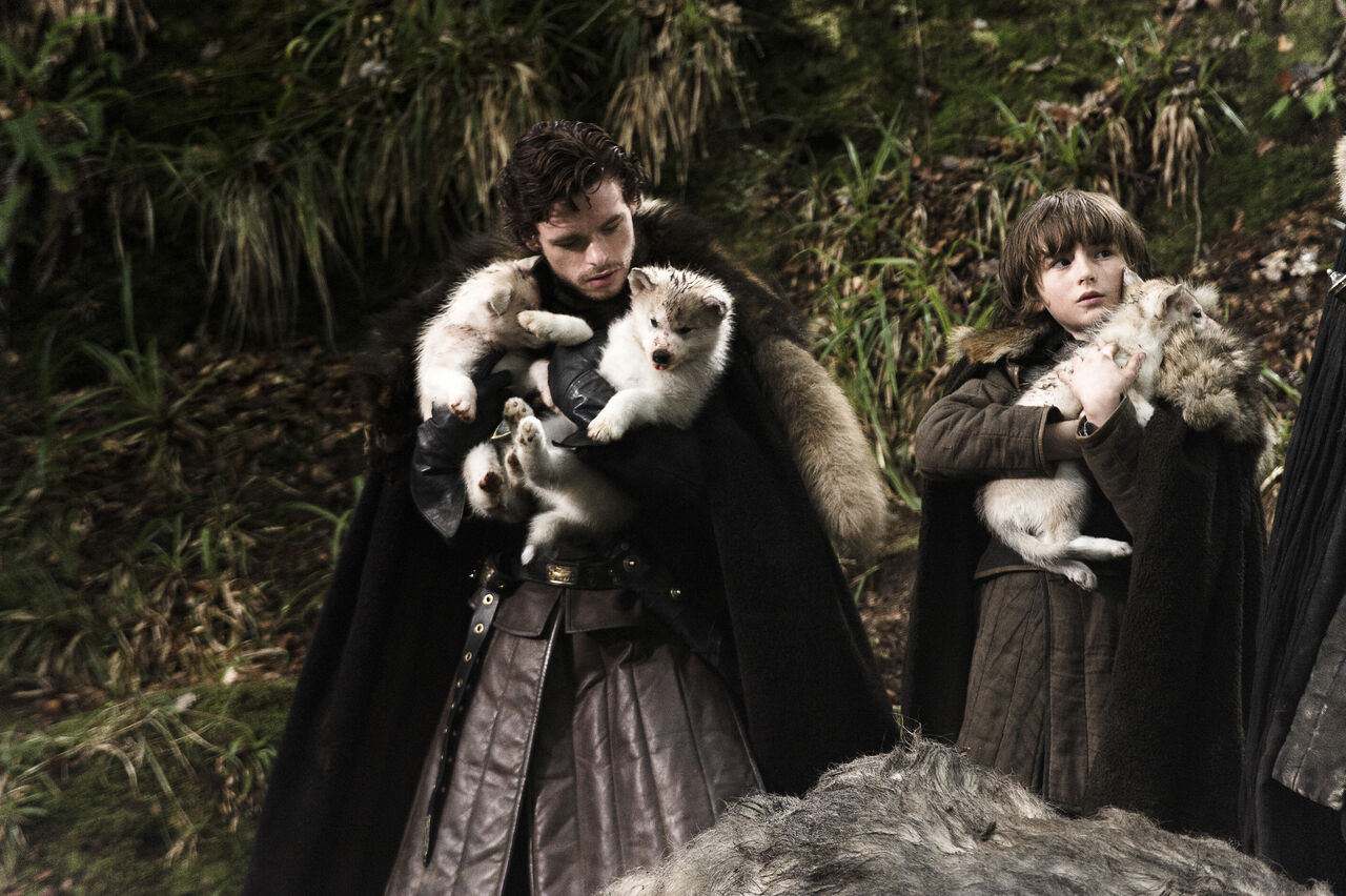 Robb and bran of Game of thrones and direwolf pups