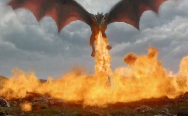 File:Dragon Fire Toasty.jpg