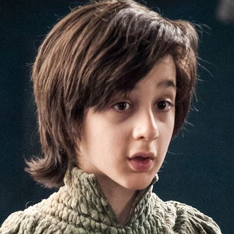 File:Robin-Arryn-405.jpg