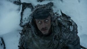Warg