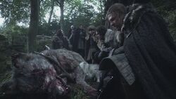 Mãe dos lobos gigantes