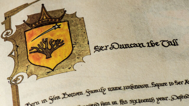 File:Book-kingsguard-02-1000x563.jpg