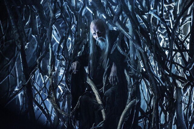 File:Game-of-thrones-season-4-finale-tree-man.jpg