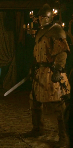 File:Renly's Kingsguard 2.png