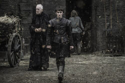 605 DasTor Bran Stark Dreiäugiger Rabe(1).jpg